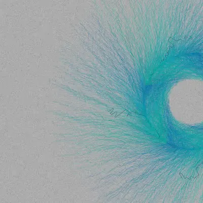Nests #19