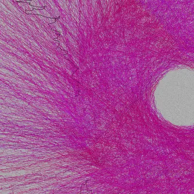 Nests #2