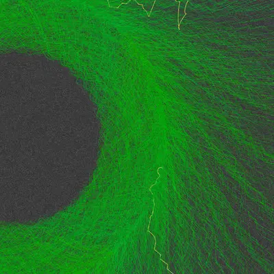 Nests #29