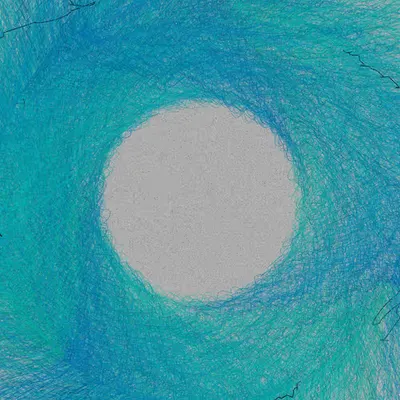 Nests #39