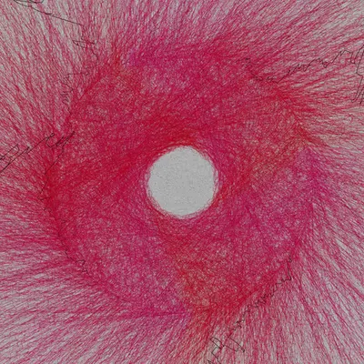 Nests #41