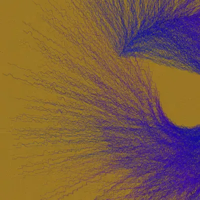 Nests #60