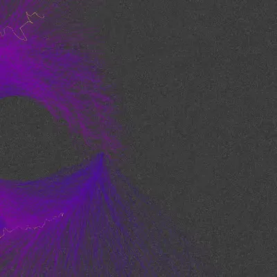 Nests #61