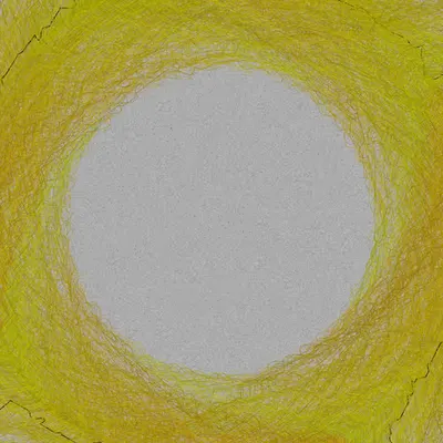 Nests #79