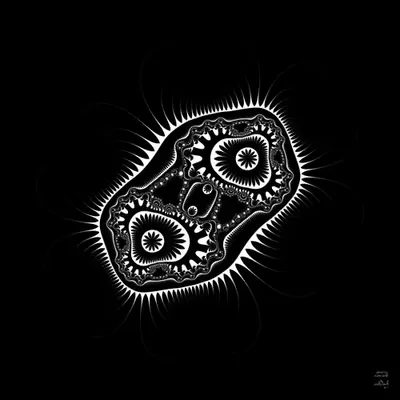 Hungarian Amoeba (2015)