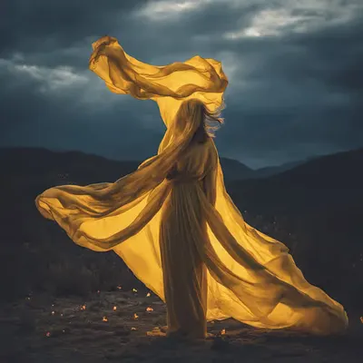 Freedom
