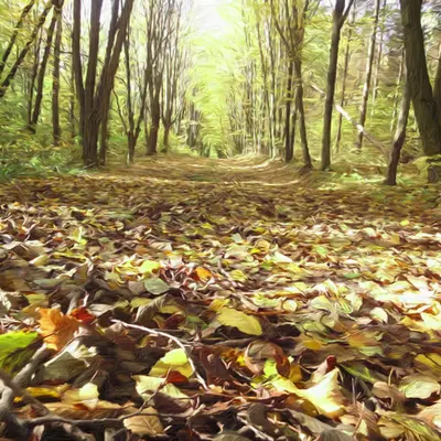 Last Autumn in Ukraine