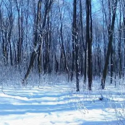 Winter and Ukraine in Monochrome