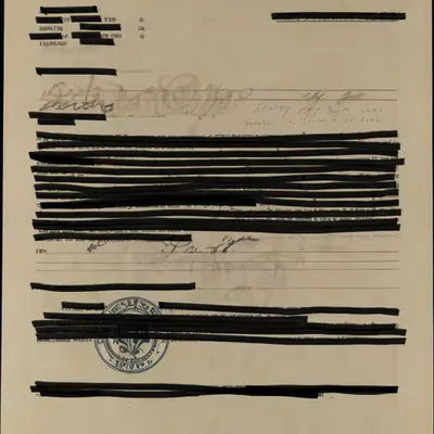 Interpol File #8 - The Satoshi Files