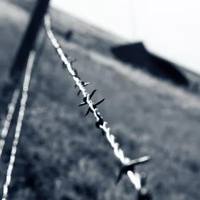 MM | Photography | a welcoming site