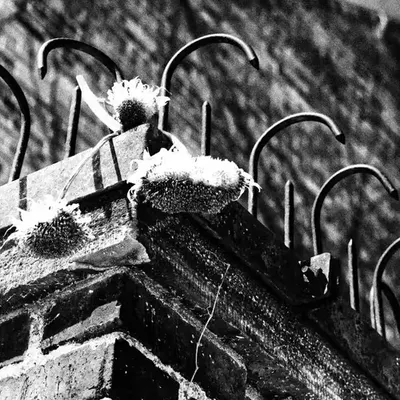 MM | Photography | there was an attempt