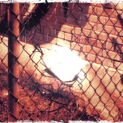 MM's Photography | Grunge Series | Item #10