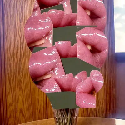 Feed Me 