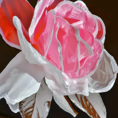 Color Code #49