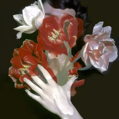 Color Code #52