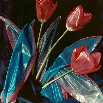 Color Code #80