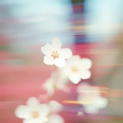 Summertime #4