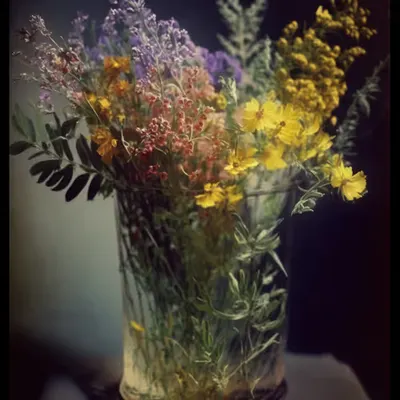 նատյուրմորտ #5 [Still Life]