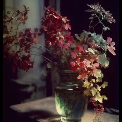 նատյուրմորտ #3 [Still Life]