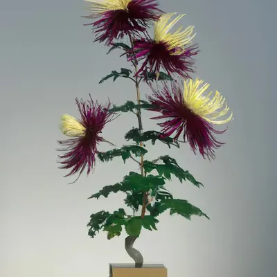 FLEURS [16]