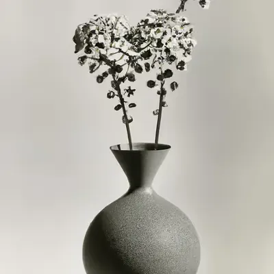 FLEURS [20]
