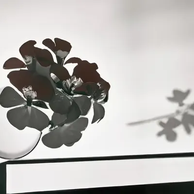 FLEURS [30]