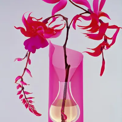 FLEURS [34]