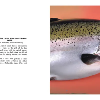 108. SALMON TROUT WITH HOLLANDAISE SAUCE