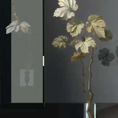 Feuilles de Vigne