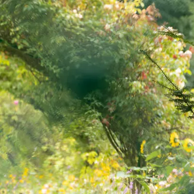 Giverny #1