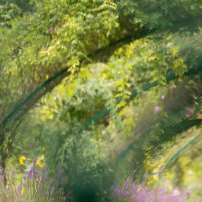 Giverny #2