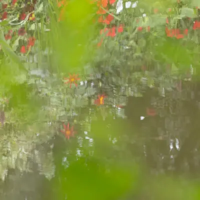 Giverny #21