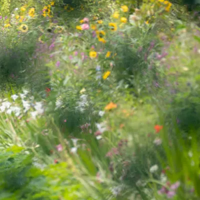 Giverny #3