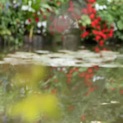 Giverny #6