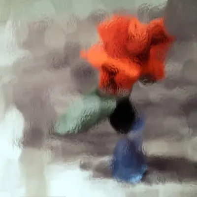 Red Rose