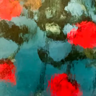 Red Roses