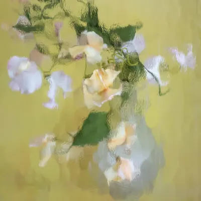Sweet Peas