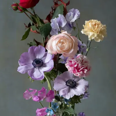 Still Life.11