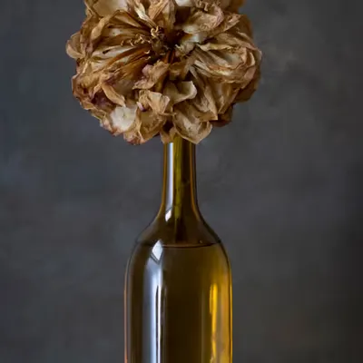 Still Life.19