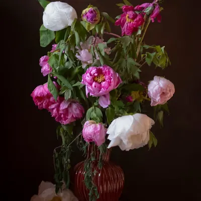 Still Life.20