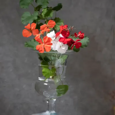 Still Life.3