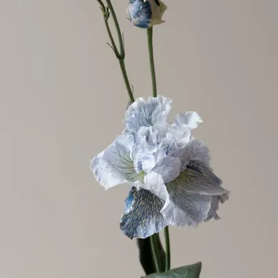 Floriography.1