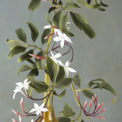 Flower.14