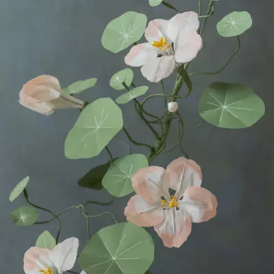 Flower.16