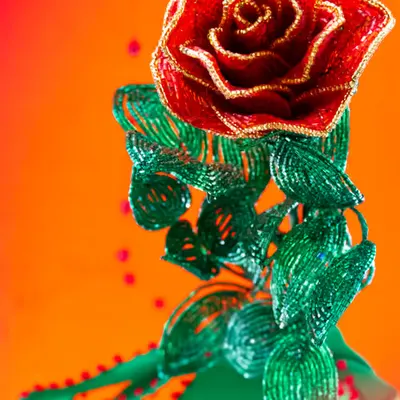 Flower.17