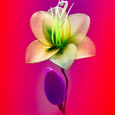 Flower.4