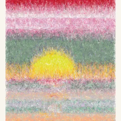 SOL #313
