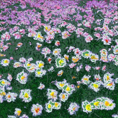 After the Rain