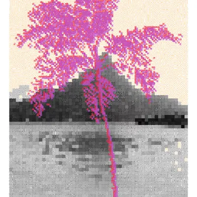 Otemanu