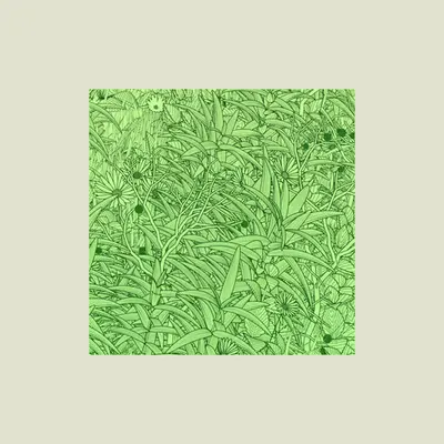Grass.js